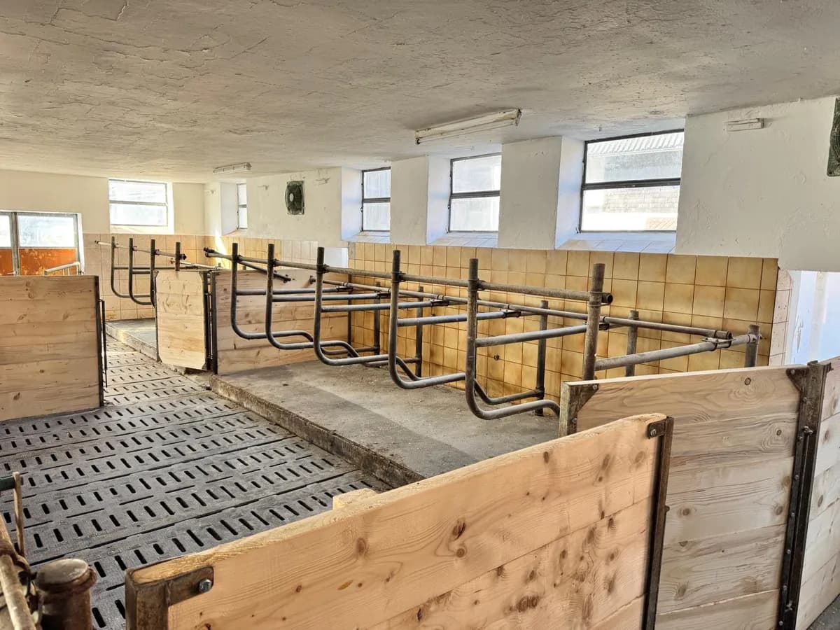 Immobilie kaufen in Salzburg-Umgebung – 375 m², € 4.770.000 – Bild 7 von 27