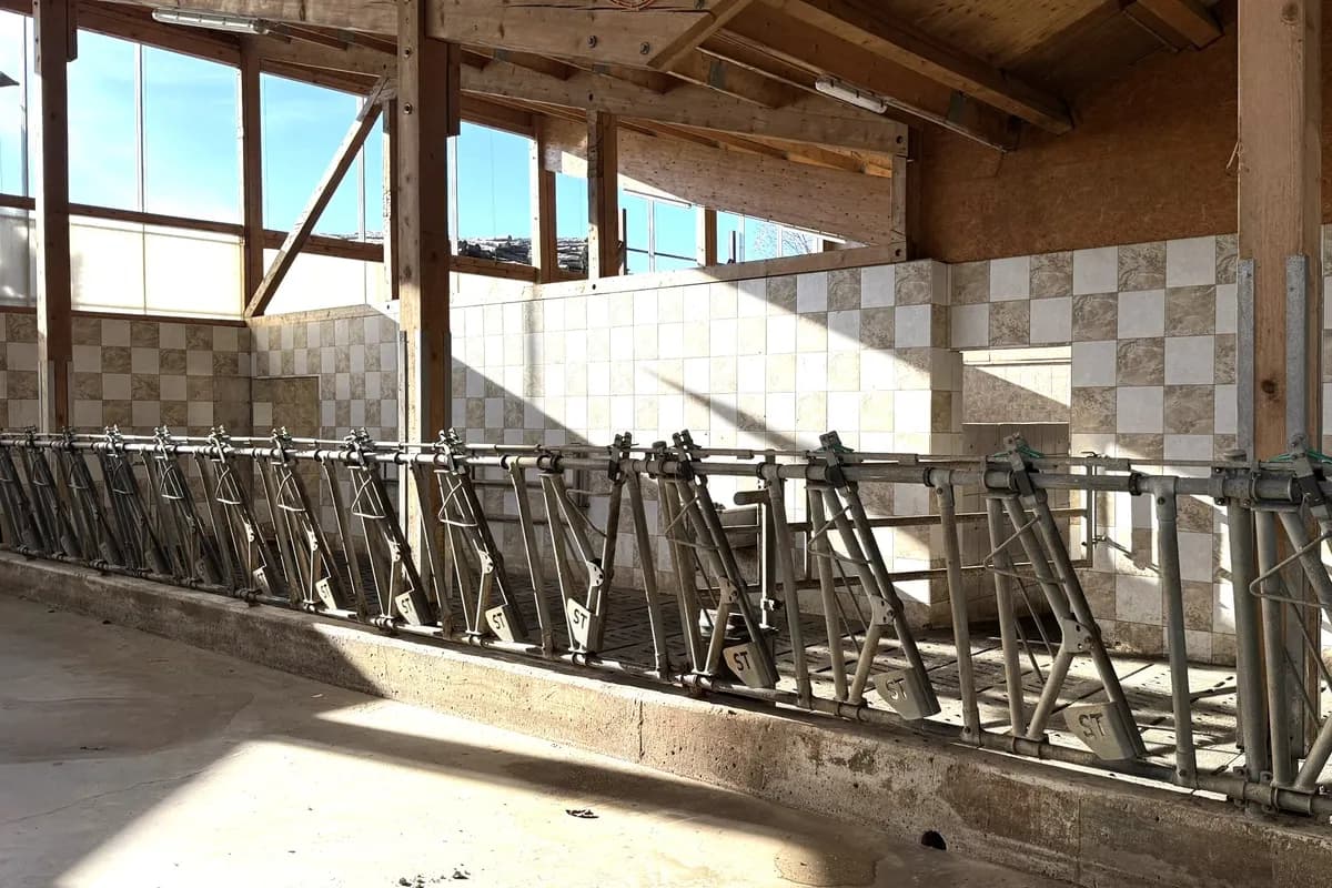 Immobilie kaufen in Salzburg-Umgebung – 375 m², € 4.770.000 – Bild 8 von 27