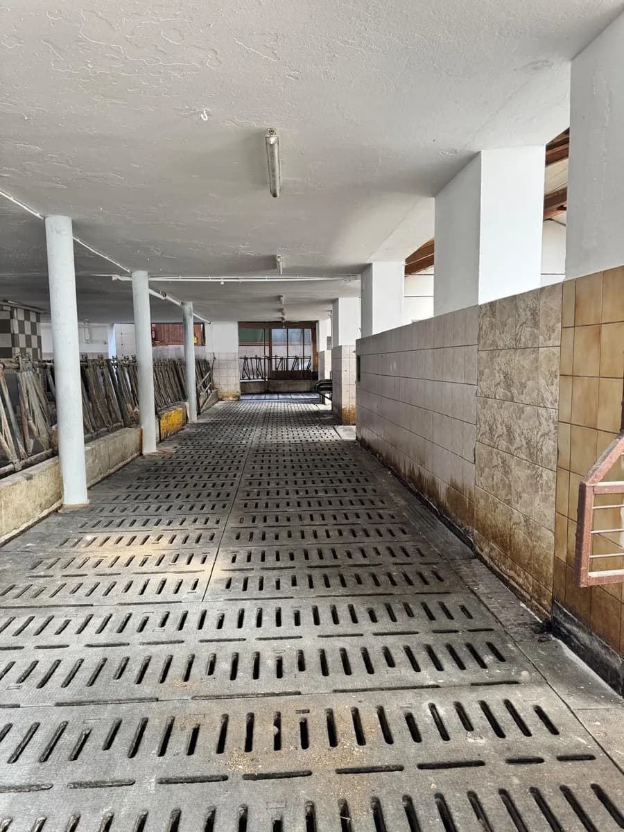 Immobilie kaufen in Salzburg-Umgebung – 375 m², € 4.770.000 – Bild 11 von 27