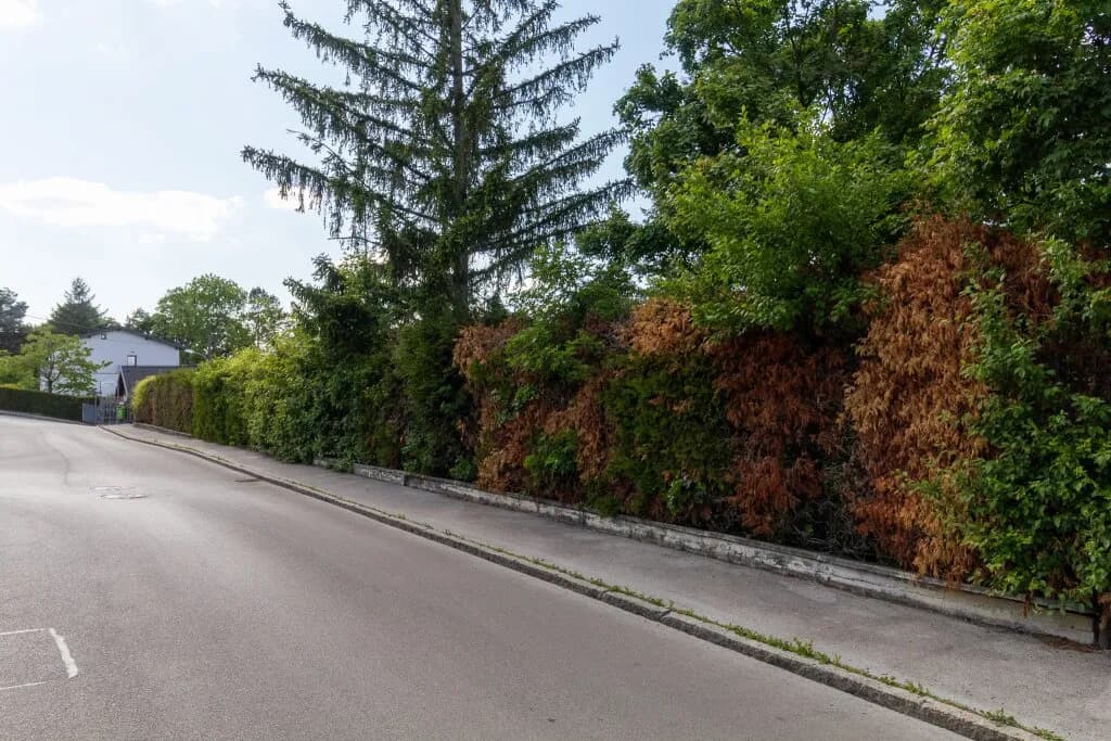 Grundstück kaufen in Tulln – 671 m², € 529.998 – Bild 9 von 12