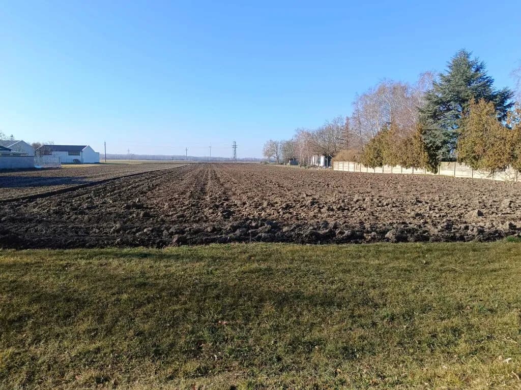 Grundstück kaufen in Neusiedl am See – 1 566 m², € 228.600 – Bild 2 von 3