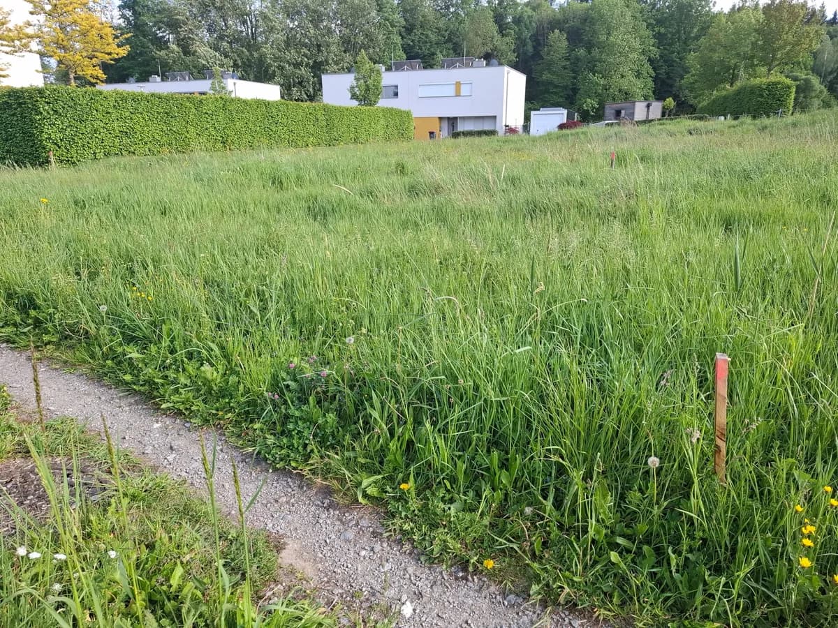 Grundstück kaufen in Grieskirchen – 614 m², € 107.000