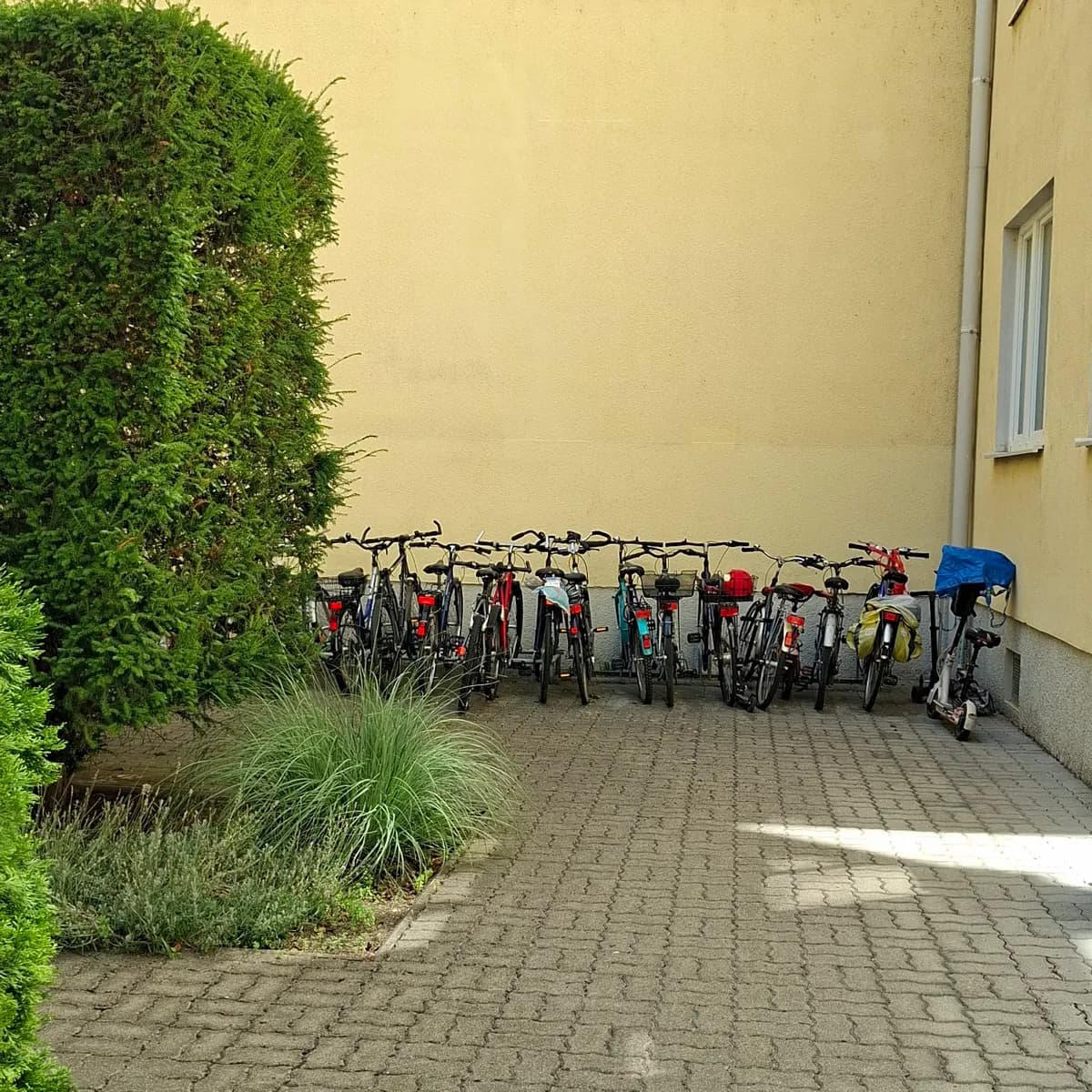 2-Zimmer-Wohnung mieten in Baden – 47 m², € 618 – Bild 2 von 15