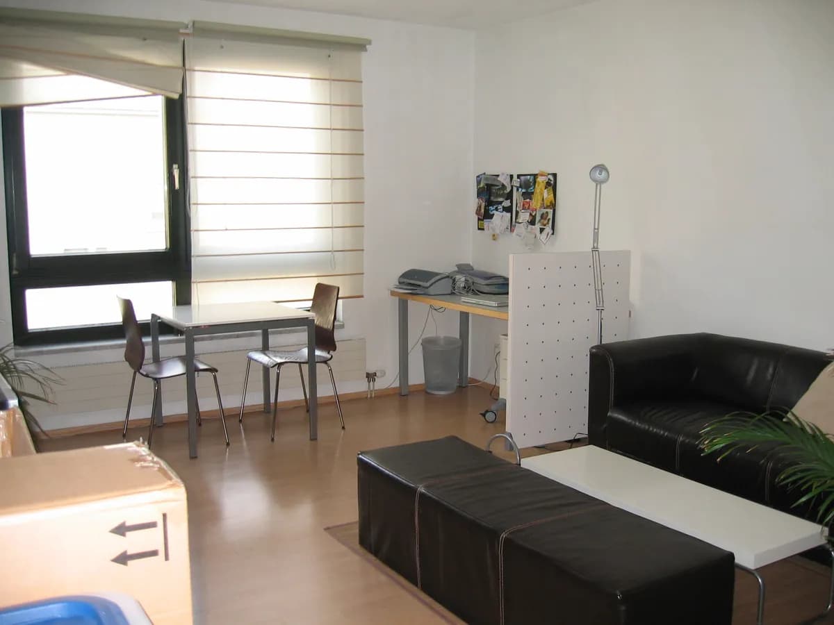 1-Zimmer-Wohnung mieten in Linz – 41,2 m², € 535
