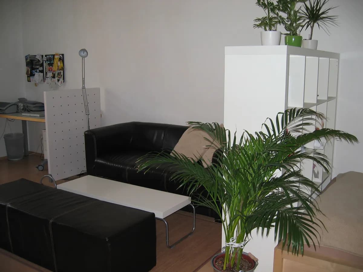 1-Zimmer-Wohnung mieten in Linz – 41,2 m², € 535 – Bild 2 von 5