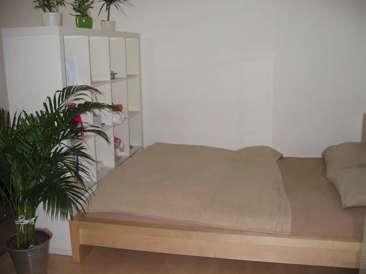1-Zimmer-Wohnung mieten in Linz – 41,2 m², € 535 – Bild 4 von 5