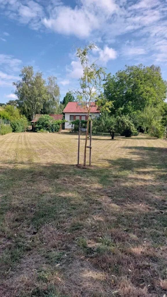7-Zimmer-Haus kaufen in Bruck an der Leitha – 156 m², € 295.000 – Bild 5 von 26