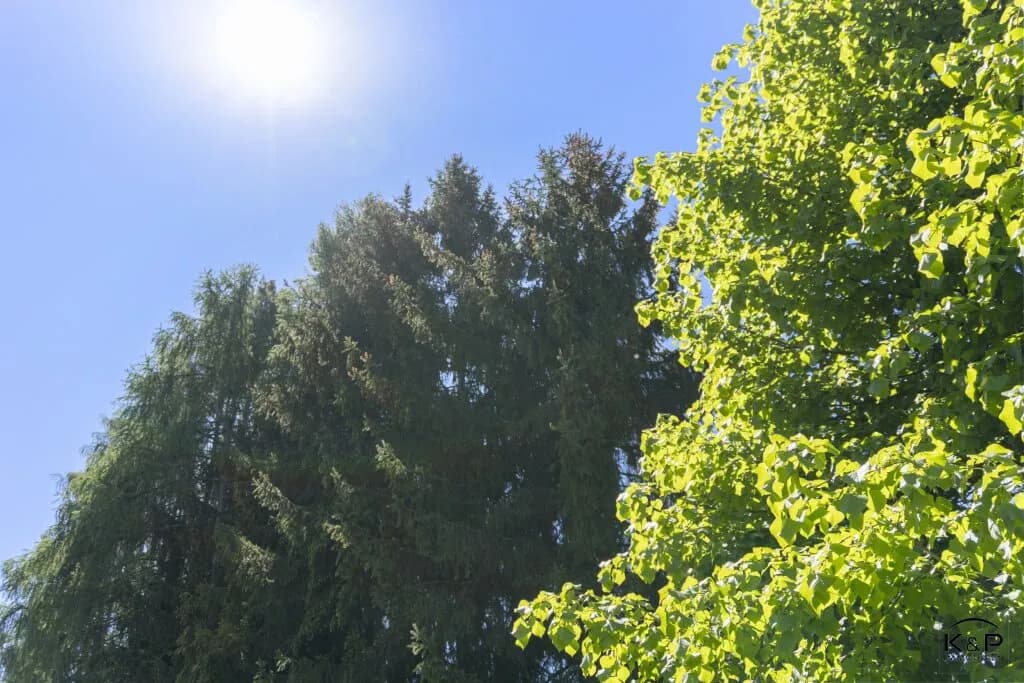 Grundstück kaufen in Villach Land – 2 495 m², € 230.000 – Bild 10 von 13