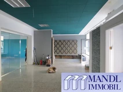 Gewerbeimmobilie mieten in Klagenfurt – 183 m², € 1.595 – Bild 8 von 9