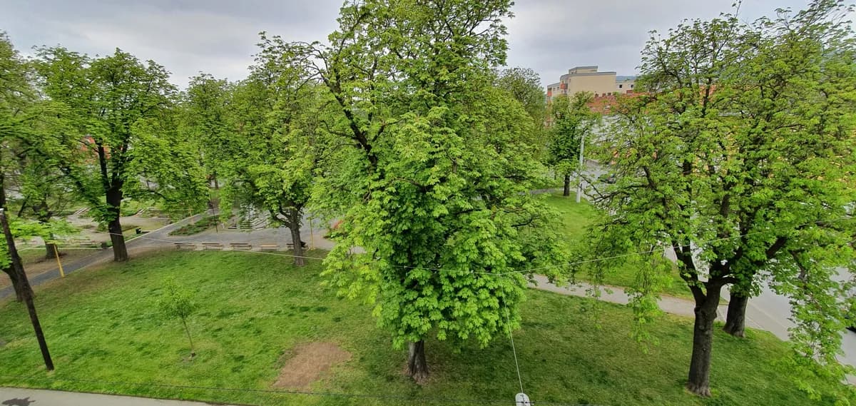 3-Zimmer-Wohnung mieten in Graz – 65 m², € 747 – Bild 19 von 21