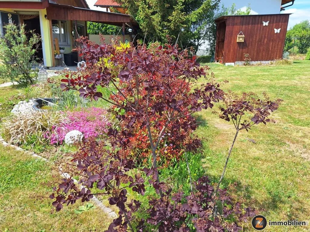 1-Zimmer-Haus kaufen in Oberwart – 35 m², € 64.000 – Bild 10 von 18