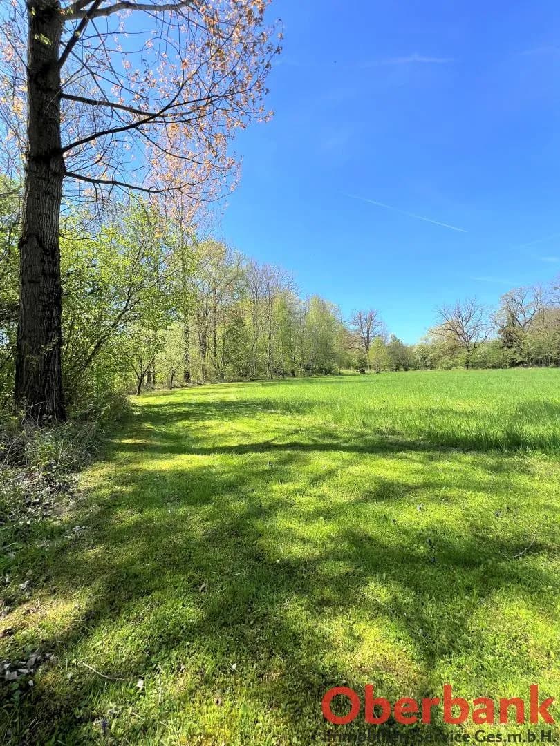 Grundstück kaufen in Kirchdorf an der Krems – 295 m², € 959.000 – Bild 33 von 43