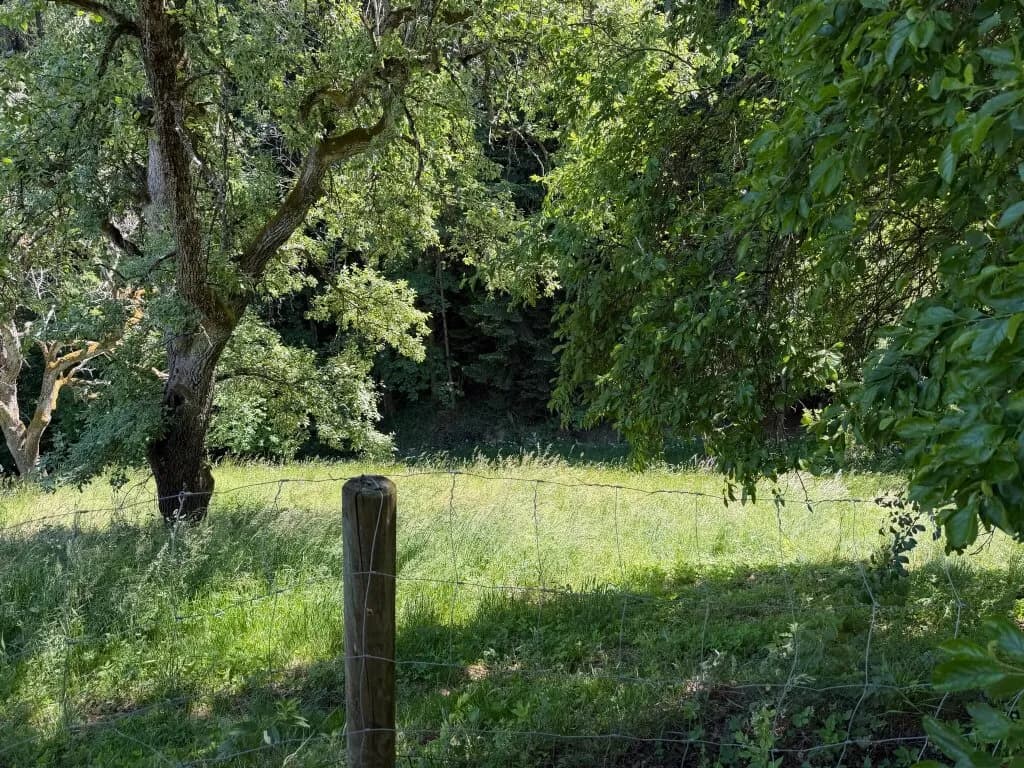 4-Zimmer-Haus kaufen in Voitsberg – 131 m², € 290.000 – Bild 5 von 20