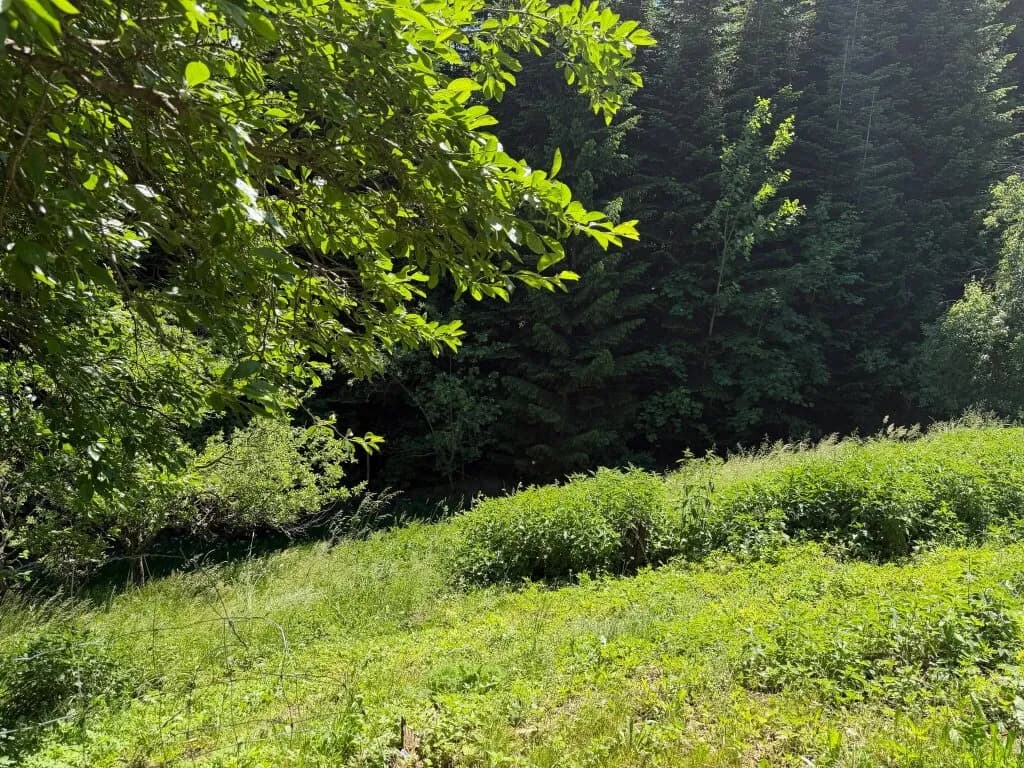 4-Zimmer-Haus kaufen in Voitsberg – 131 m², € 290.000 – Bild 7 von 20