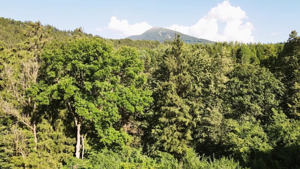 Grundstück kaufen in Innsbruck-Land – 793 m², € 339.000 – Bild 4 von 12