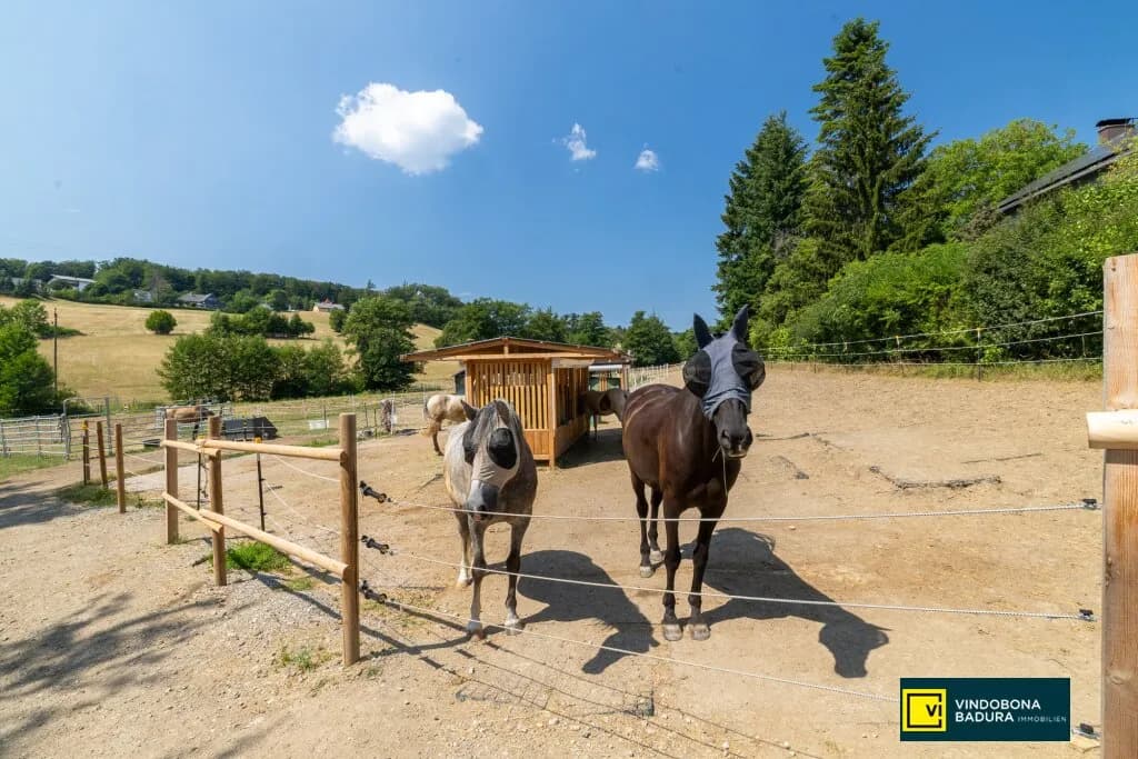 Immobilie kaufen in Mödling – 27 114 m², € 1.600.000 – Bild 5 von 7