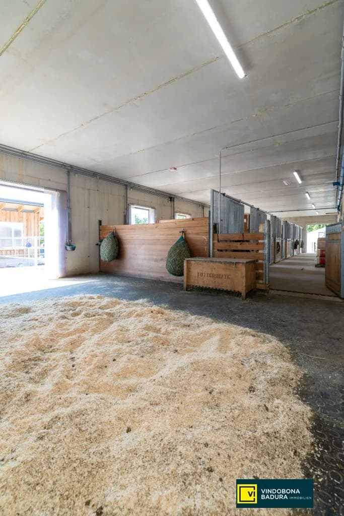 Immobilie kaufen in Mödling – 27 114 m², € 1.600.000 – Bild 6 von 7