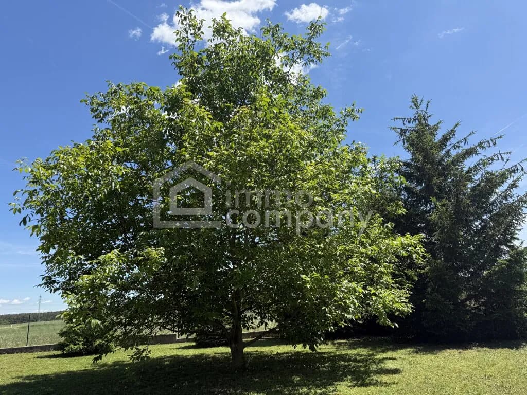 4-Zimmer-Haus kaufen in Neunkirchen – 170,42 m², € 585.000 – Bild 5 von 20