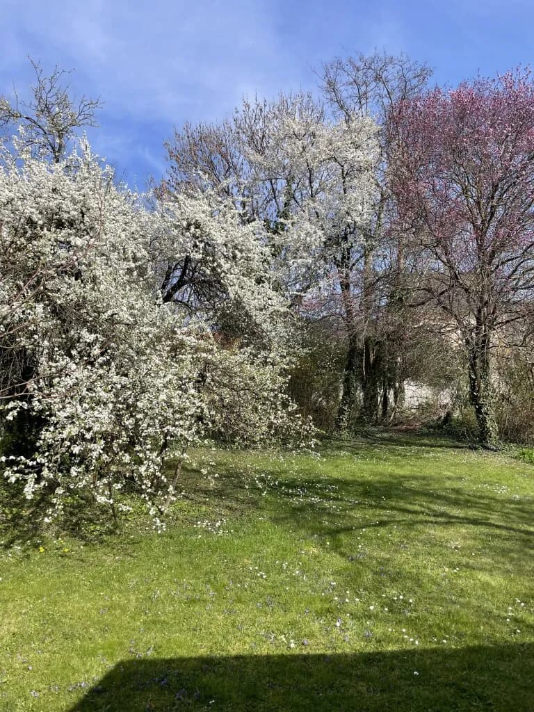 2-Zimmer-Haus kaufen in Mistelbach – 70,41 m², € 100.000 – Bild 6 von 15