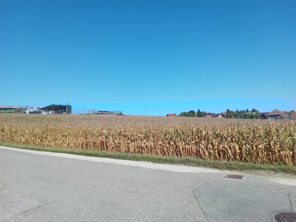Immobilie kaufen in Ried im Innkreis – 4 103 m², € 451.330 – Bild 6 von 8