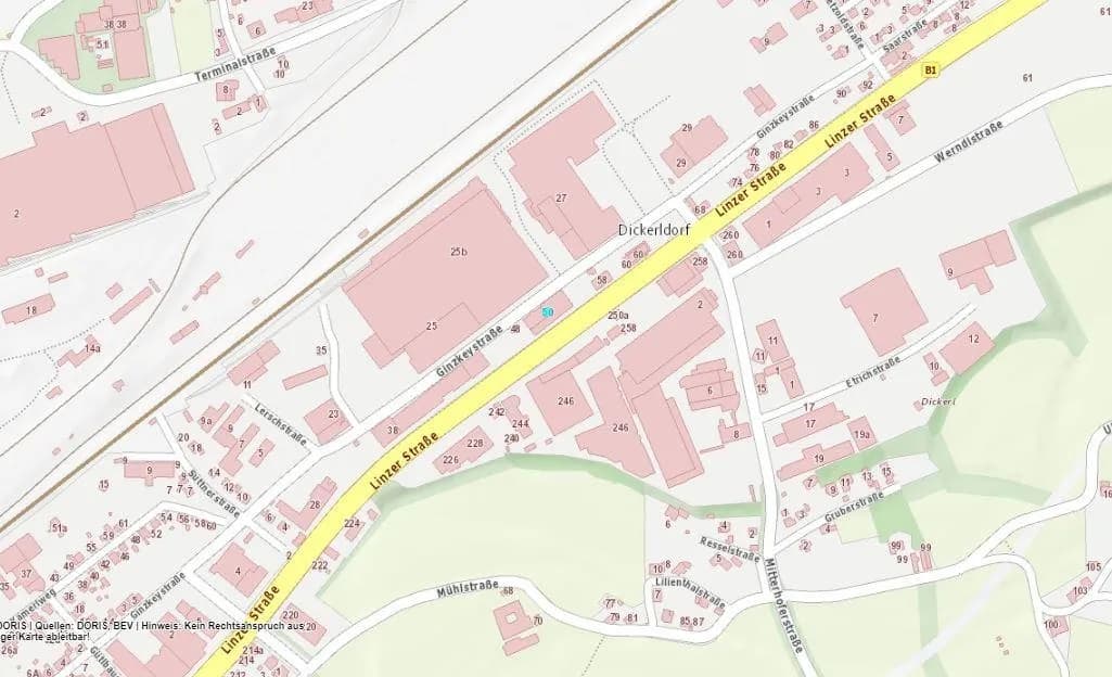 Immobilie mieten in Wels – 898 m² – Bild 4 von 5