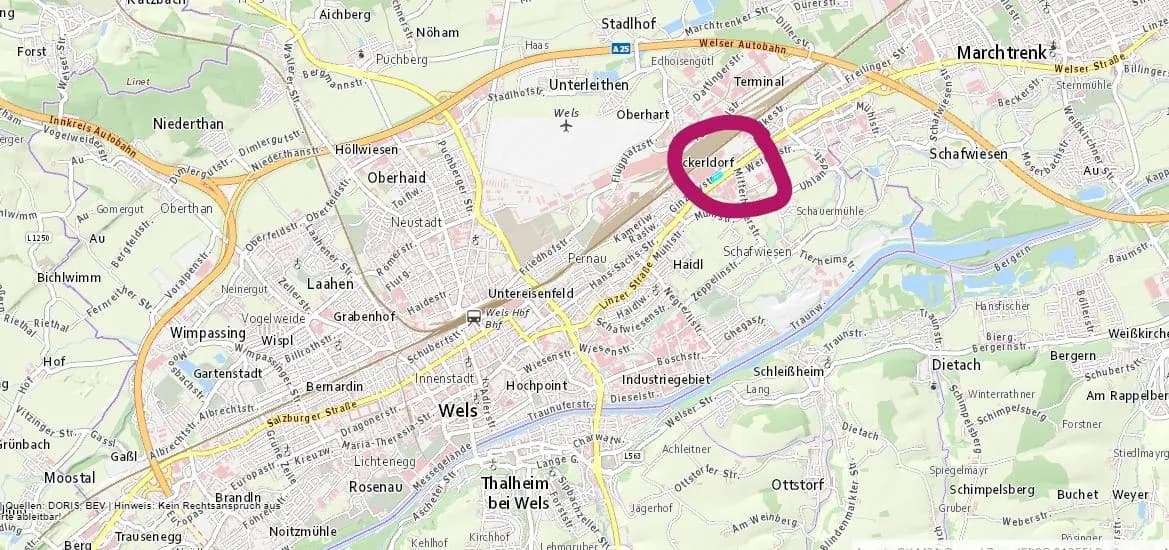 Immobilie mieten in Wels – 898 m² – Bild 5 von 5