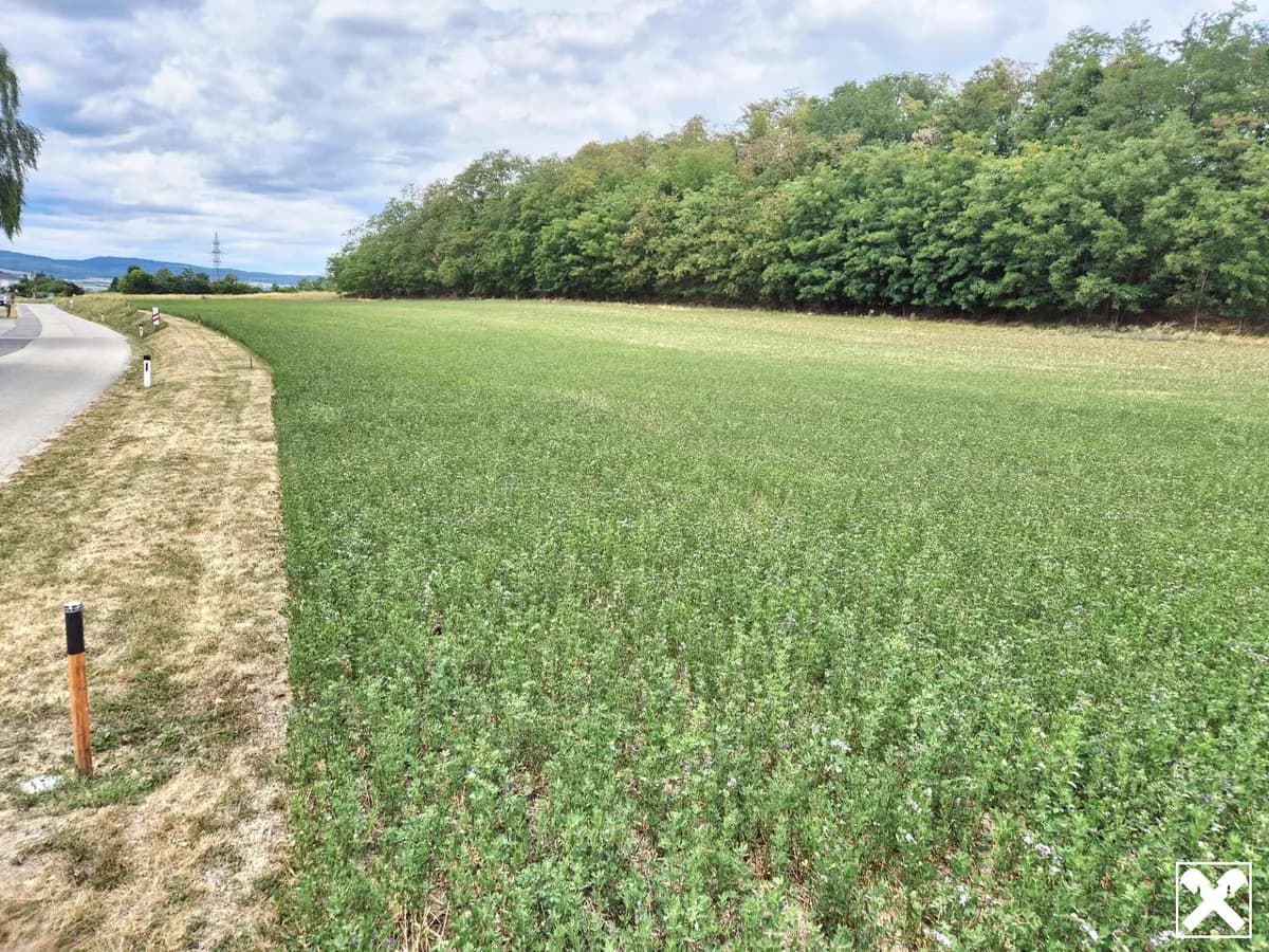 Immobilie mieten in Sankt Pölten Land – 9 472 m², € 1.250