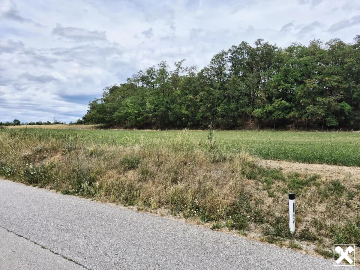 Immobilie mieten in Sankt Pölten Land – 9 472 m², € 1.250 – Bild 2 von 7