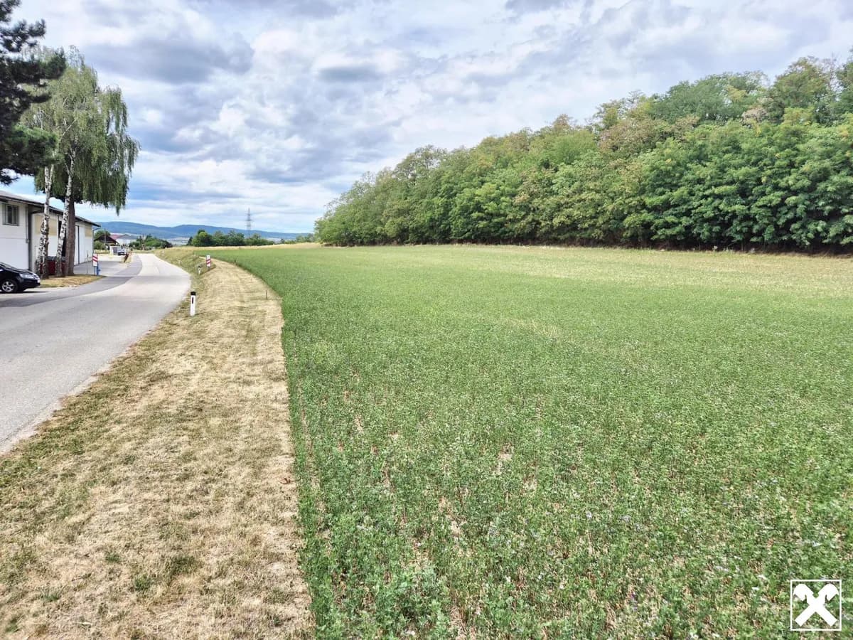 Immobilie mieten in Sankt Pölten Land – 9 472 m², € 1.250 – Bild 4 von 7