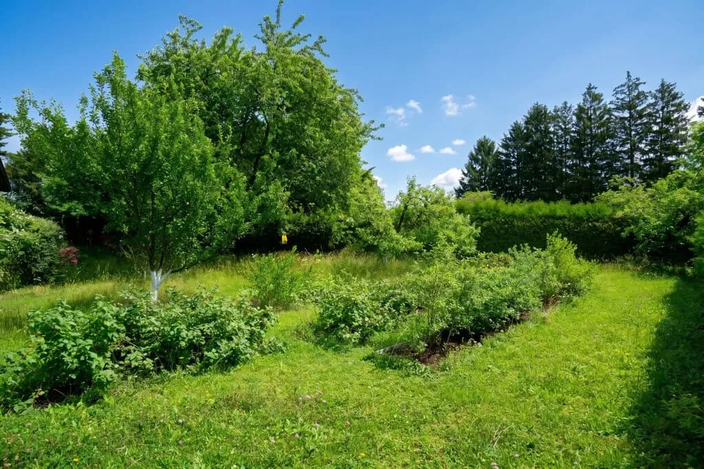 Grundstück kaufen in Sankt Pölten Land – 2 656 m², € 995.000 – Bild 3 von 10