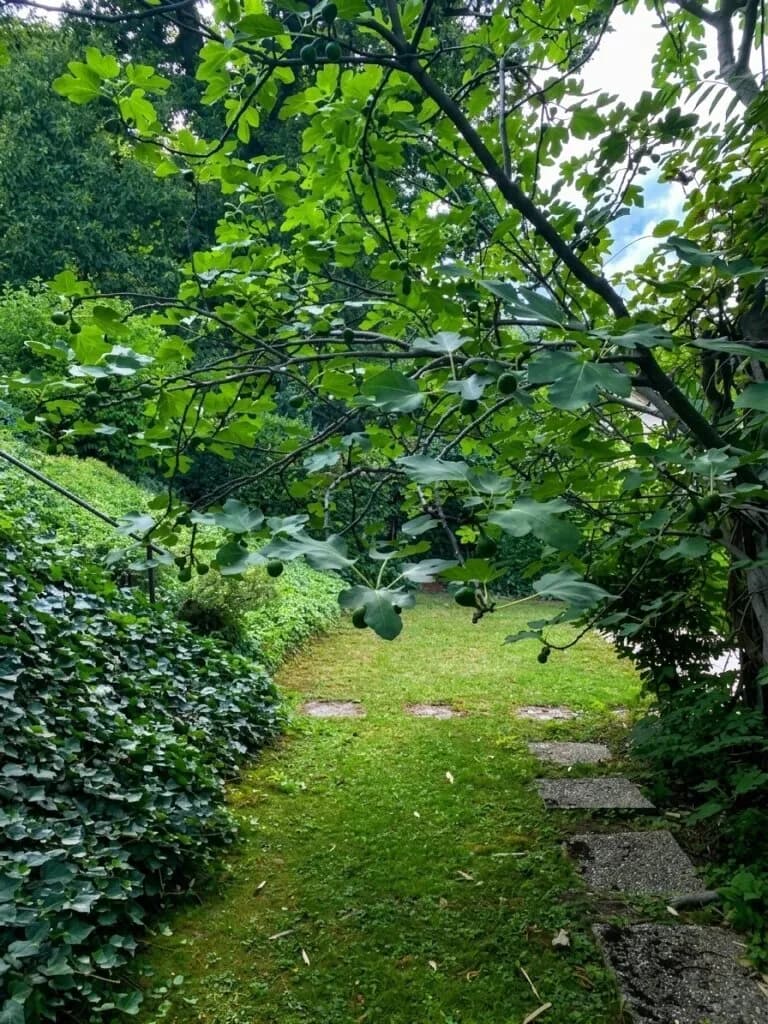 3-Zimmer-Haus kaufen in Tulln – 80 m², € 690.000 – Bild 18 von 50