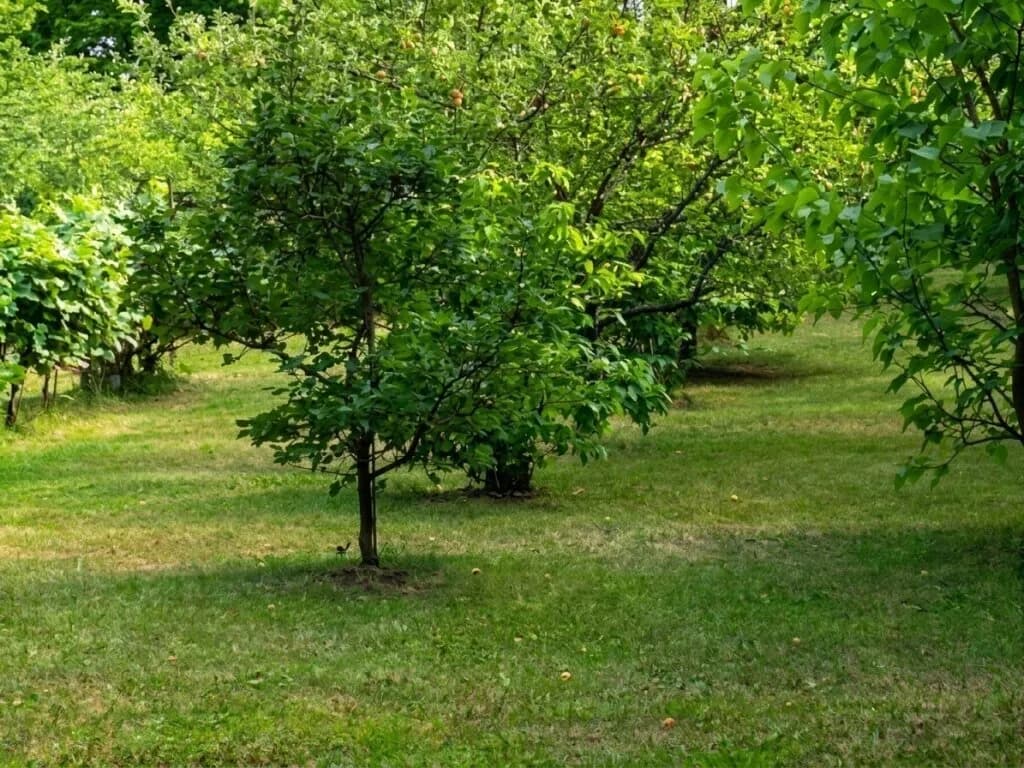 3-Zimmer-Haus kaufen in Tulln – 80 m², € 690.000 – Bild 22 von 50