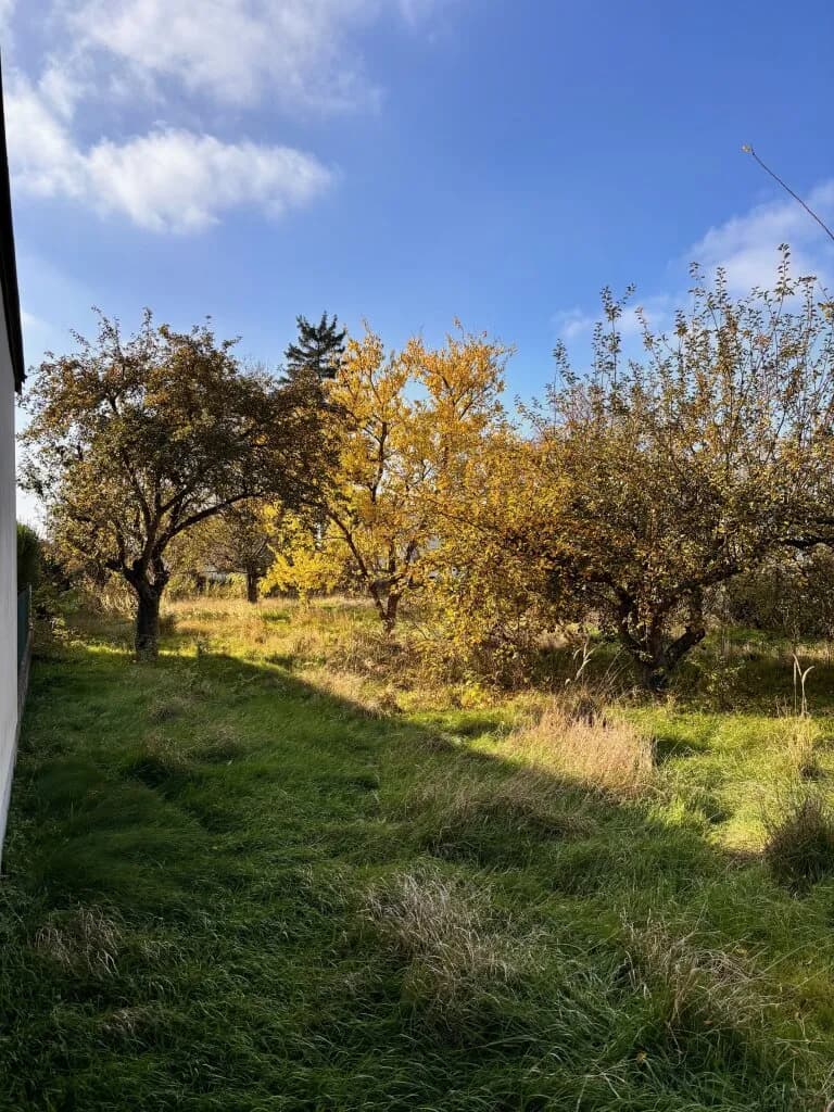Grundstück kaufen in Mistelbach – 1 601 m², € 320.000 – Bild 2 von 11