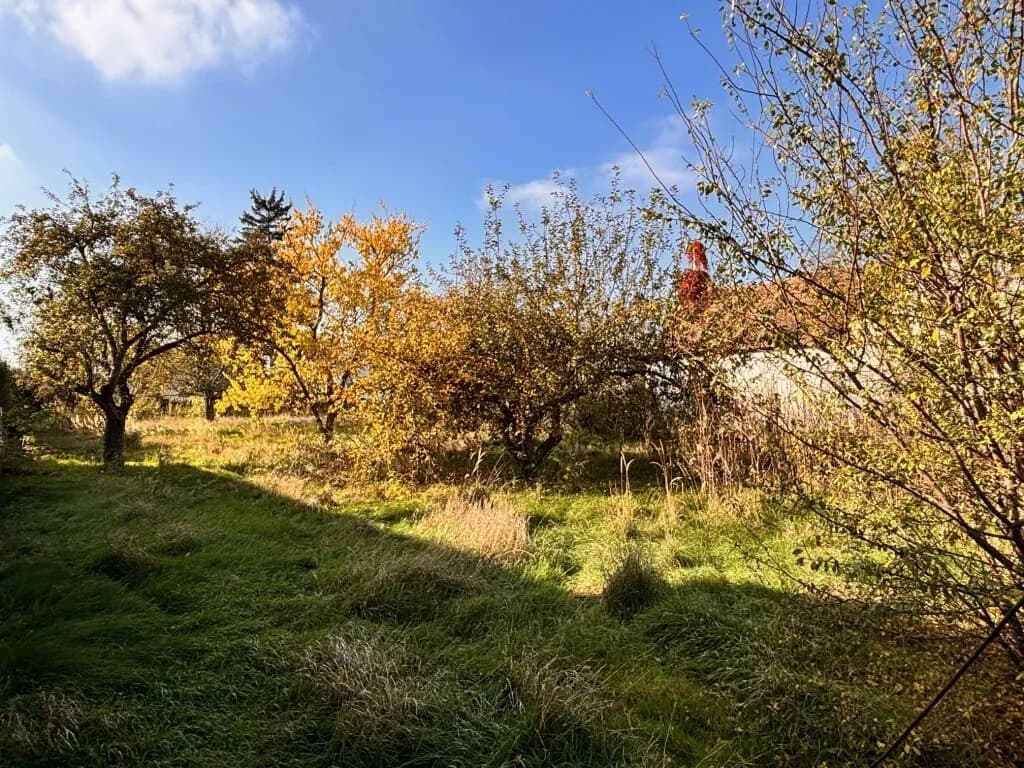Grundstück kaufen in Mistelbach – 1 601 m², € 320.000 – Bild 3 von 11