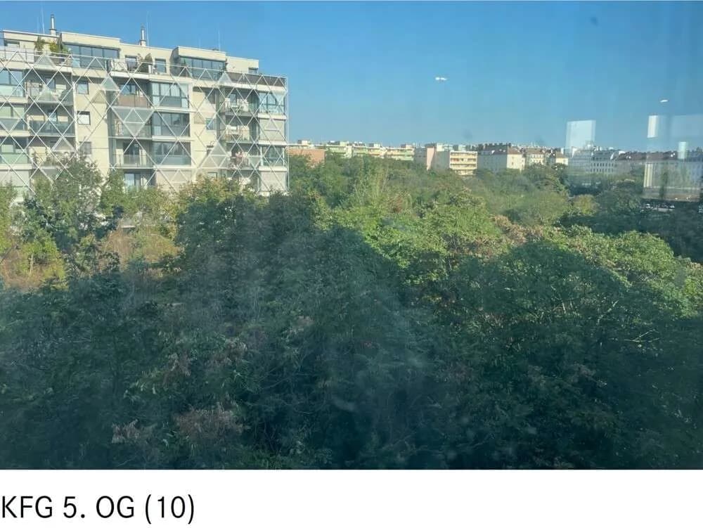 Gewerbeimmobilie mieten in Wien – 425 m², € 17 – Bild 9 von 13