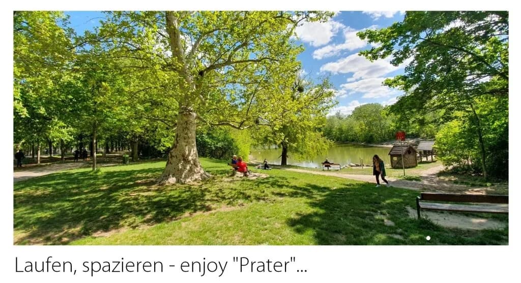 1-Zimmer-Wohnung kaufen in Wien – 32,35 m², € 179.900 – Bild 37 von 37
