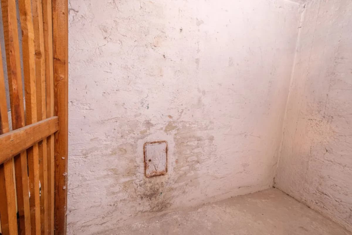 2-Zimmer-Wohnung kaufen in Mödling – 45 m², € 259.000 – Bild 27 von 43