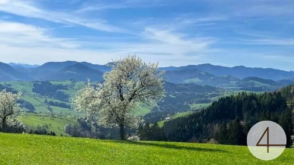 Haus kaufen in Scheibbs – 114 m², € 397.842 – Bild 3 von 7