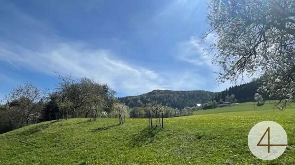 Haus kaufen in Scheibbs – 114 m², € 397.842 – Bild 6 von 7
