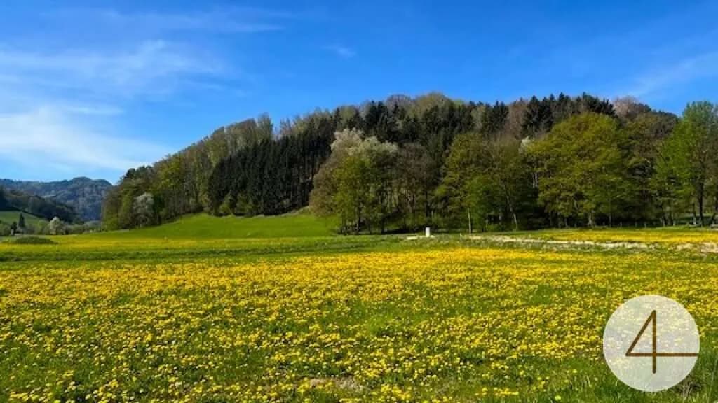 Grundstück kaufen in Scheibbs – 825 m², € 49.900 – Bild 2 von 5