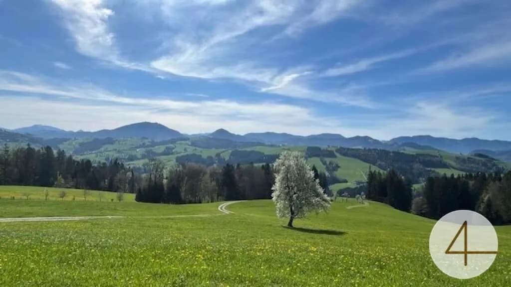 Grundstück kaufen in Scheibbs – 825 m², € 49.900 – Bild 5 von 5