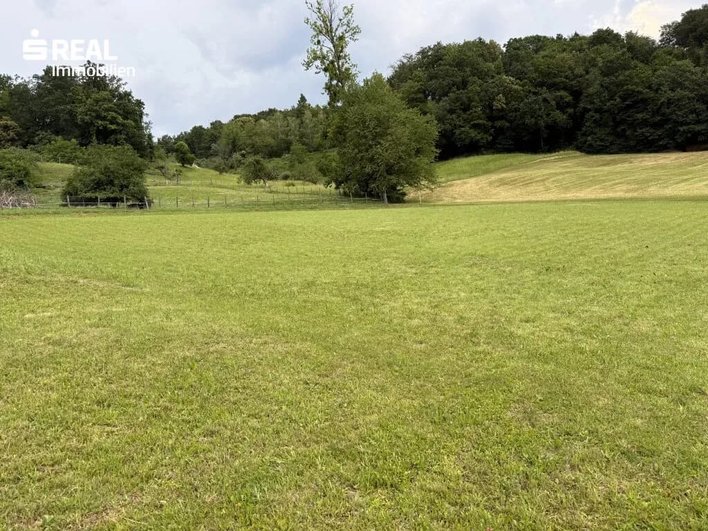 Grundstück kaufen in Südoststeiermark – 2 000 m², € 170.000 – Bild 3 von 7