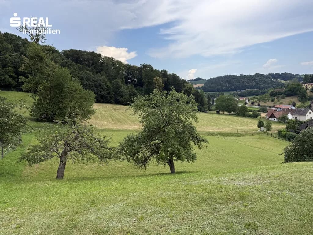 Grundstück kaufen in Südoststeiermark – 2 000 m², € 170.000 – Bild 5 von 7