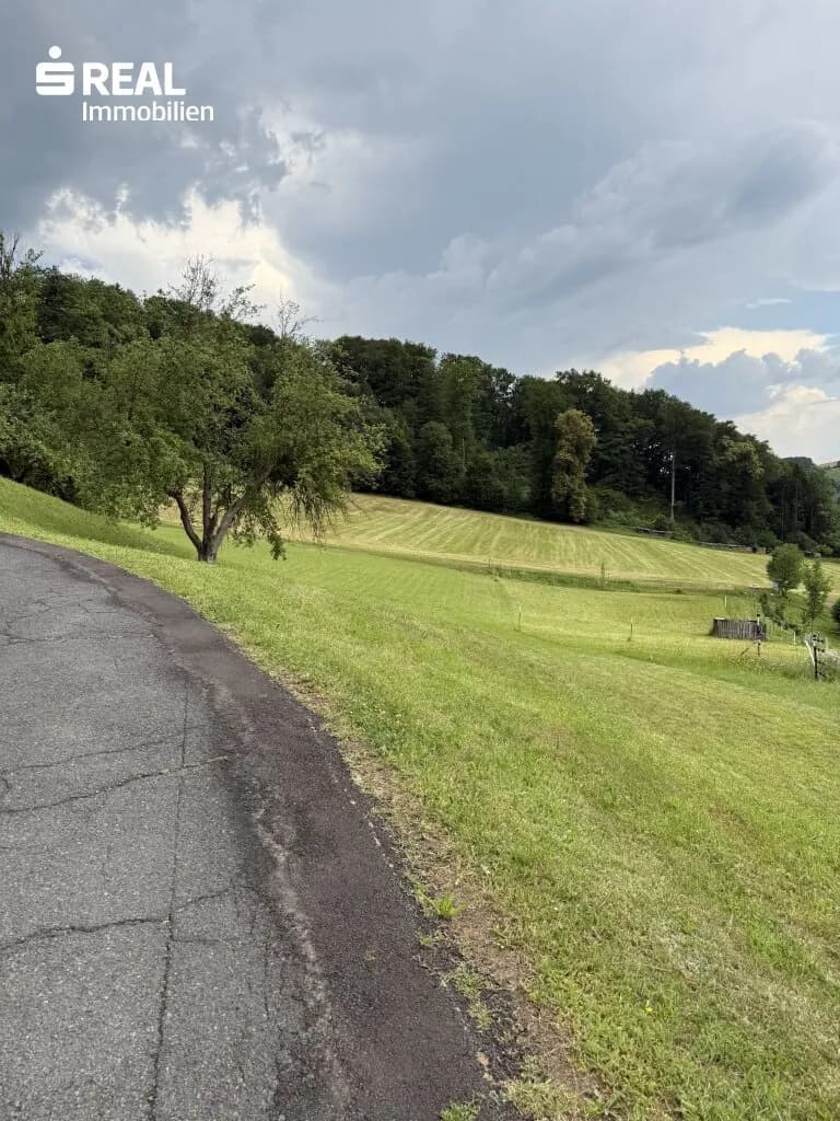 Grundstück kaufen in Südoststeiermark – 2 000 m², € 170.000 – Bild 6 von 7