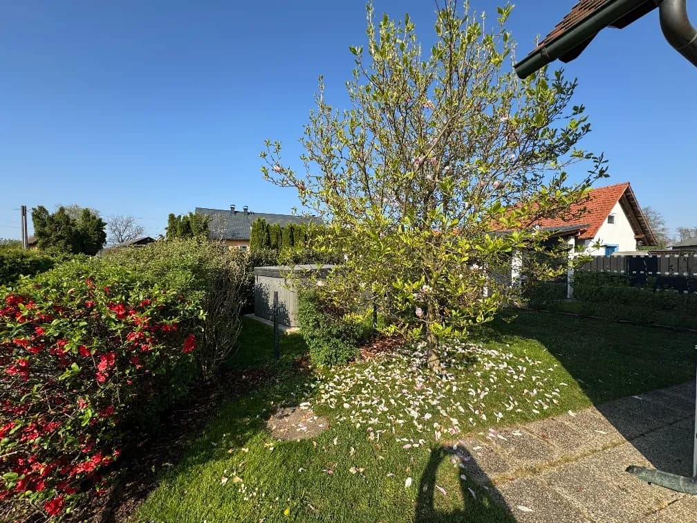 Haus kaufen in Südoststeiermark – 133 m², € 299.000 – Bild 6 von 31