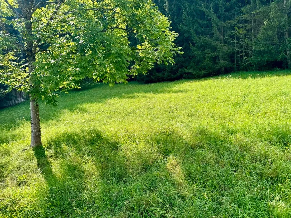 Grundstück kaufen in Liezen – 2 151 m² – Bild 6 von 12