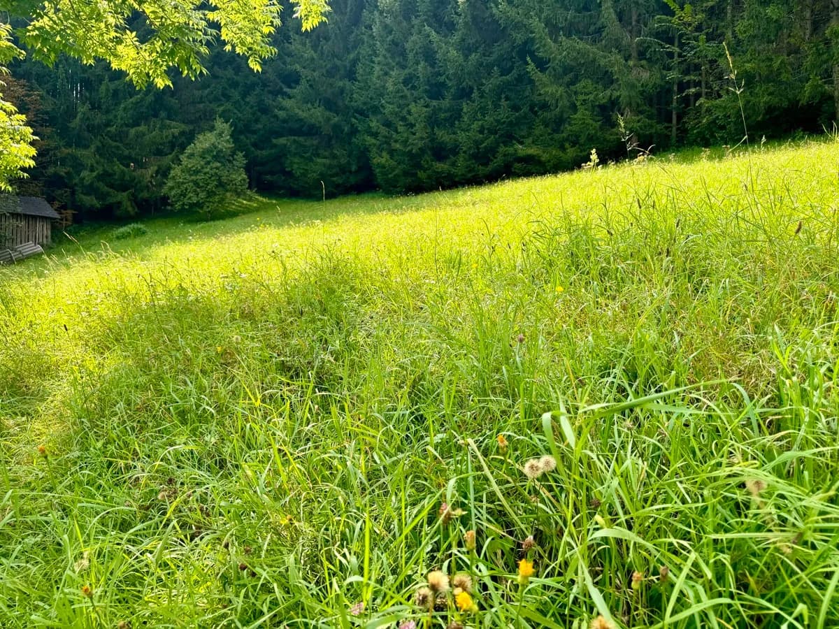 Grundstück kaufen in Liezen – 2 151 m² – Bild 7 von 12