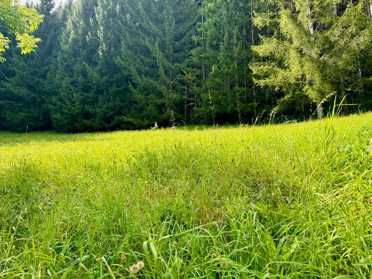 Grundstück kaufen in Liezen – 2 151 m² – Bild 8 von 12