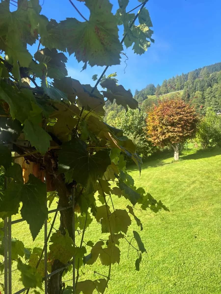 4-Zimmer-Wohnung mieten in Kitzbühel – 120 m², € 1.900 – Bild 3 von 30