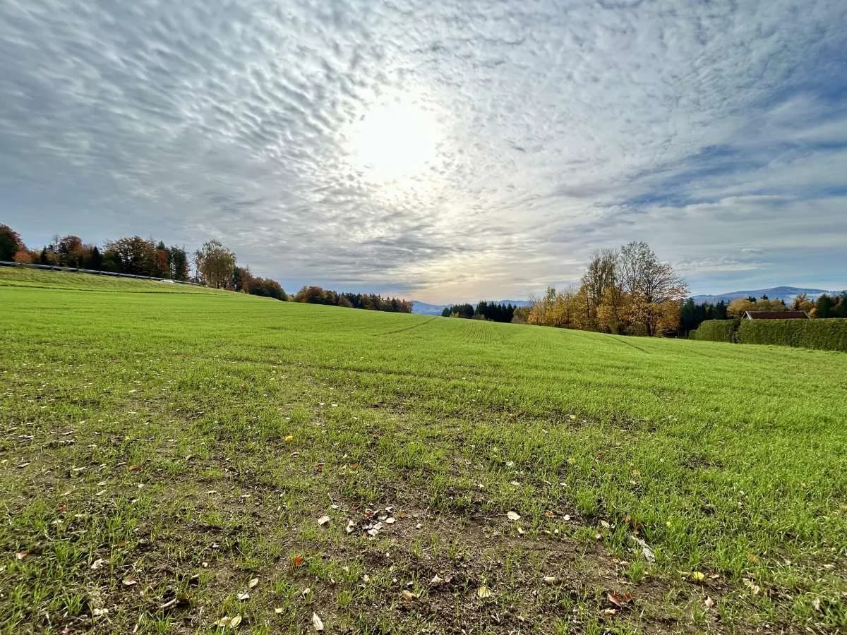 Grundstück kaufen in Rohrbach – 32 429 m², € 3